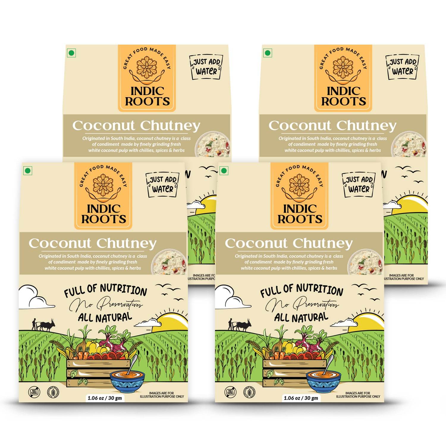 Coconut Chutney - Indic Roots